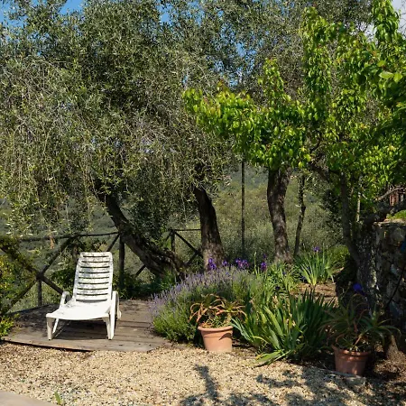 Casa U Baregu By Interhome