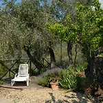 Casa U Baregu By Interhome
